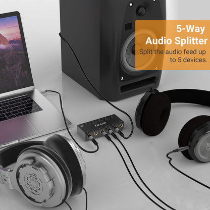 6.35mm 5 Ways Audio Splitter with Switch-Black