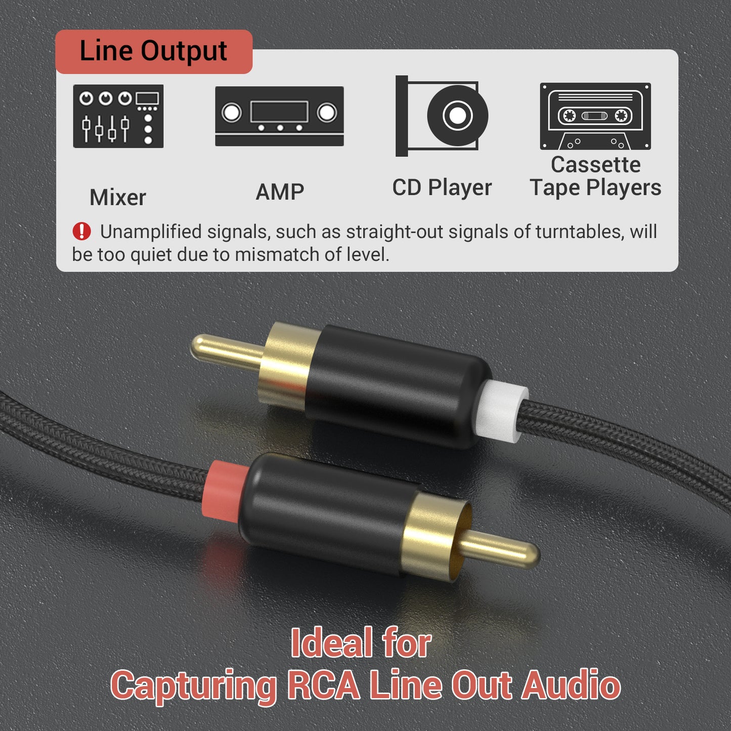USB C to RCA Audio Capture Cable,5 FT