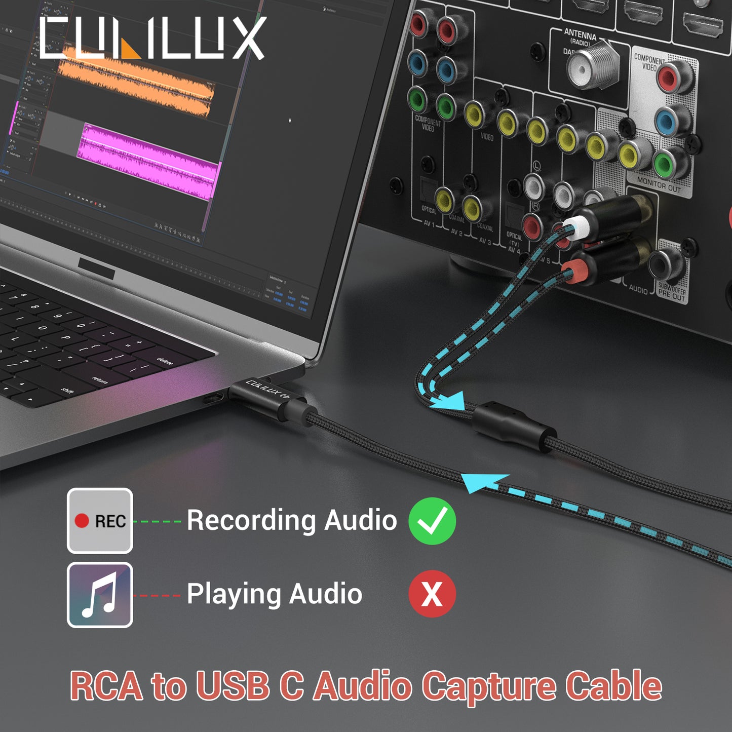 RCA to USB C Audio Capture Cable