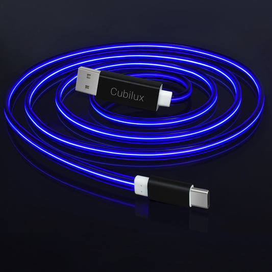 Glowing USB C Charging Cable-Blue,2FT