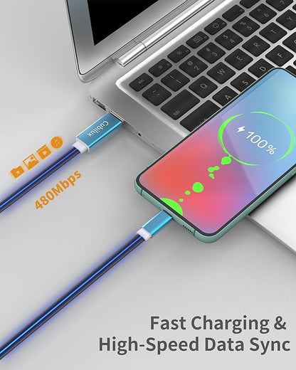 Glowing USB C Car Charge Cable-Blue,2FT