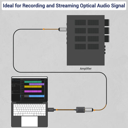 USB A SPDIF Input Adapter for PC [Stereo Recording ONLY, NOT for Playing Audio]