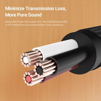 USB C RCA Cable, Gray-6FT